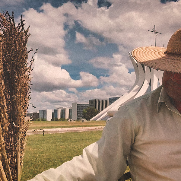 Cerrado - Caminhos entrelaçados
